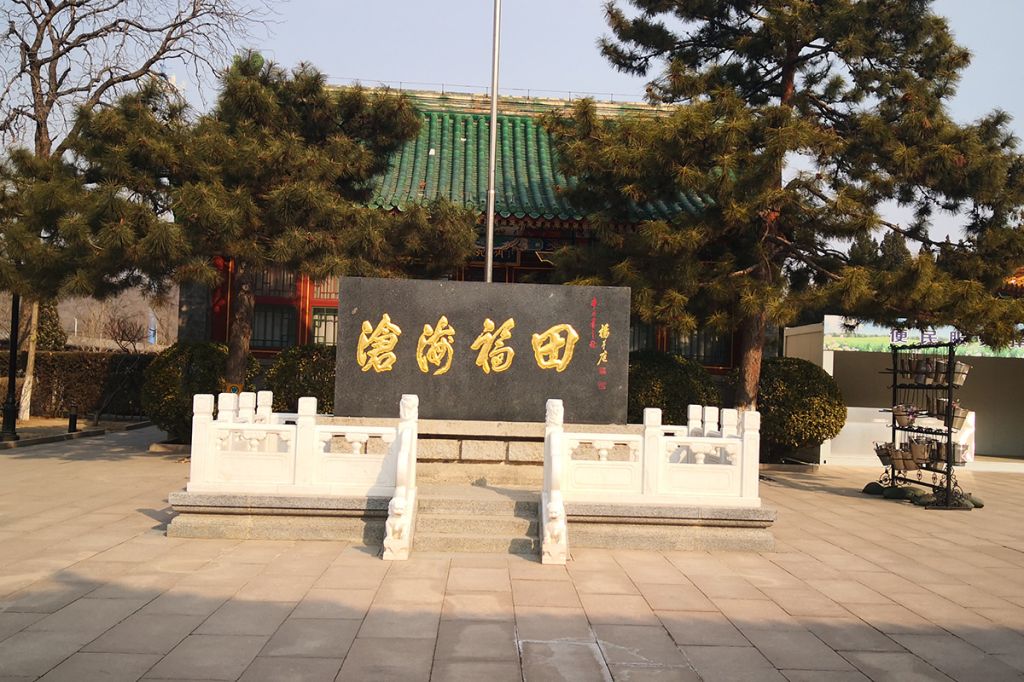 陵园环境
